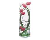 Tulip Under Glass, picture