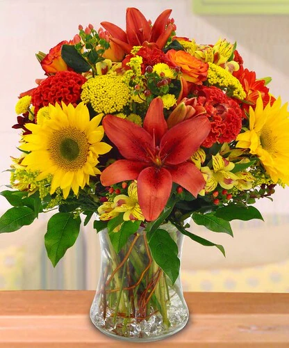Candy Apple in Rockville MD, Palace Florists