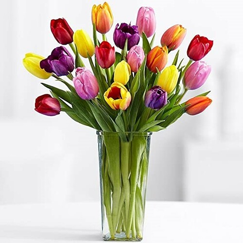 Wild About You features 20 tulips in assorted colors in Bethesda MD, Palace Florists