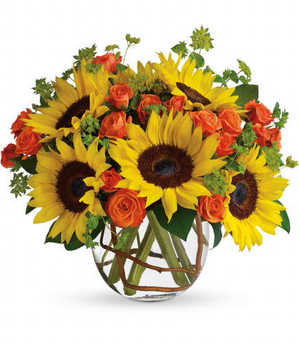 Sunflowers on the Pike - Rockville MD - Palace Florists