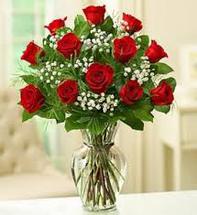 One Dozen Premium Red Roses - Washington DC - Rockville MD – Palace Florists