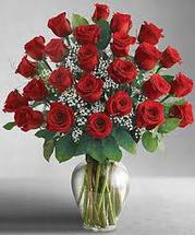 24 premium red roses - Washington DC - Rockville MD – Palace Florists