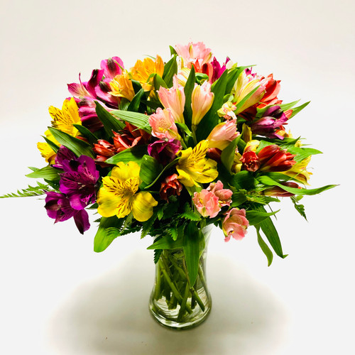 Amazing Alstroemeria in Rockville MD, Palace Florists