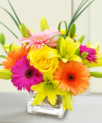Starburst - Rockville MD - Palace Florists