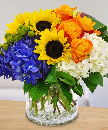 Sunshine Daydreams - Rockville MD - Palace Florists