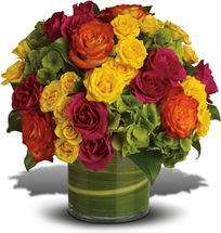 Flowers - Washington DC - Rockville - Palace Florists