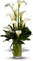 Calla Lilies Flower Arrangement - Washington DC - Rockville - Palace Florists