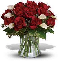 Red Roses and White Calla Lilies - Washington DC - Rockville - Palace Florists